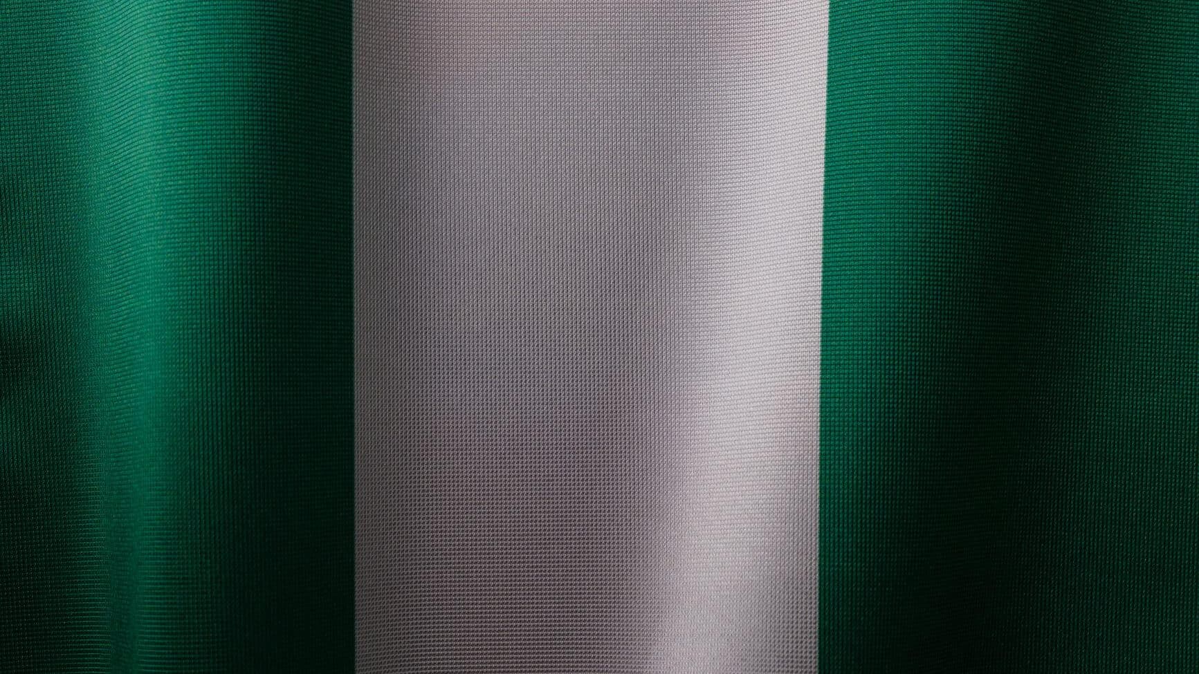 the national flag of nigeria