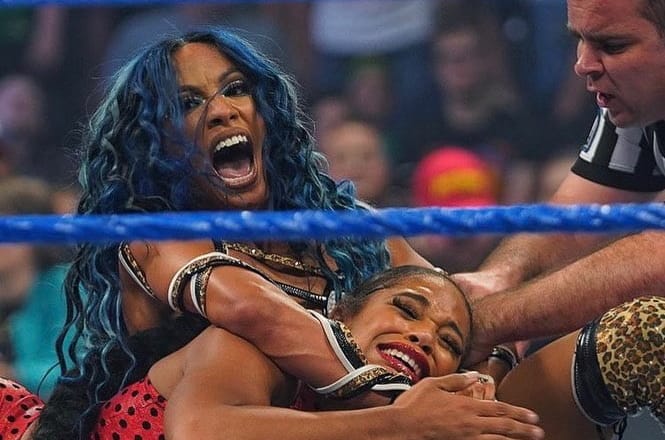 WWE superstar Sasha banks and charlotte Flair break doors for women in WWE