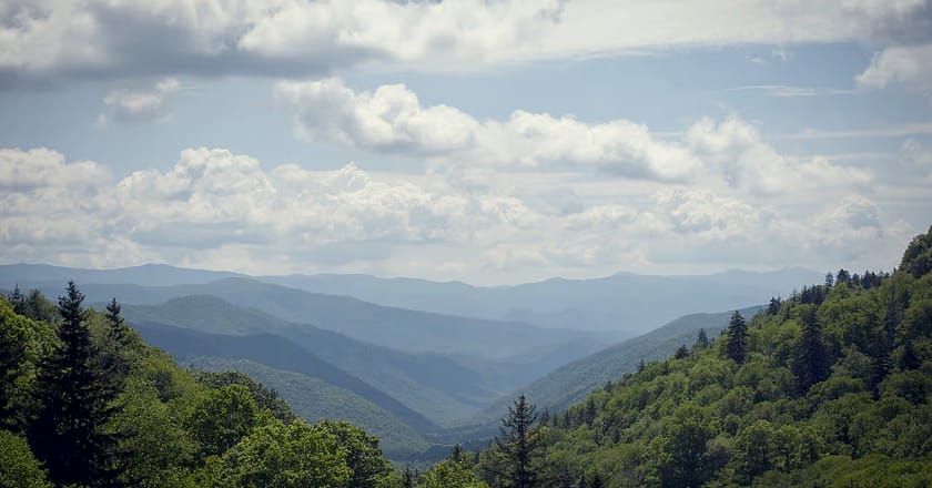 Discover The Great Smoky Mountains: A Paradise for Nature Lovers