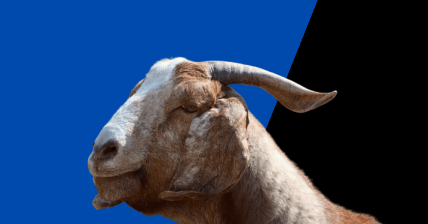 How to Prepare Isi Ewu- A Step-by-step Recipe