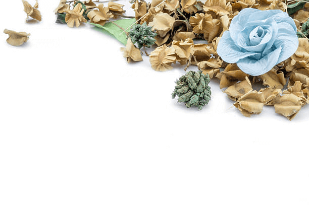 Create beautiful memories with your partner this valentine