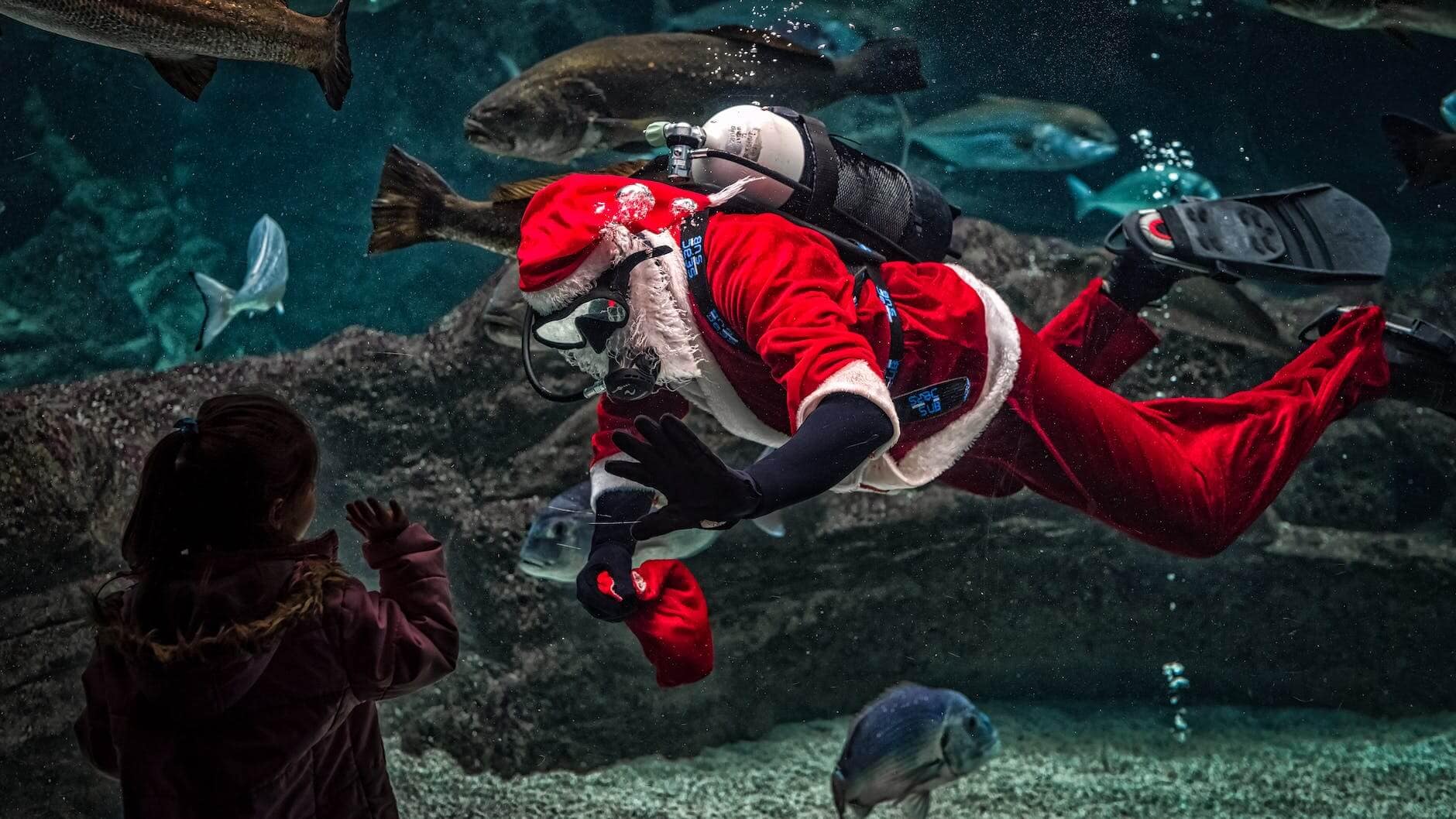 man in Santa Claus (St Nicholas) costume with diving gear inside aquarium